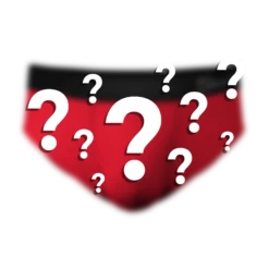 The Mystery Brief | Surprise Ball Hammock® Pouch Underwear Briefs